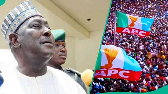 Plot to sack Tinubu in 2027: Ex-SGF Babachir speaks on how APC govs, bigwigs secretly supporting ADC