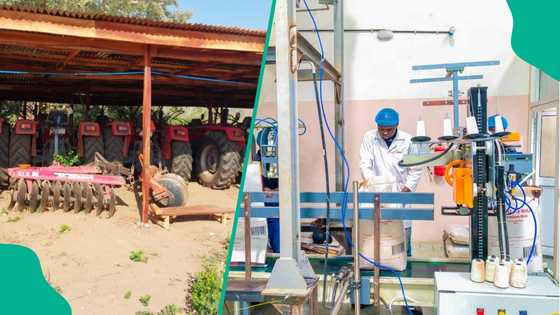 AA&R Investment Group drives Nigeria’s economic transformation with inclusive, innovative ventures