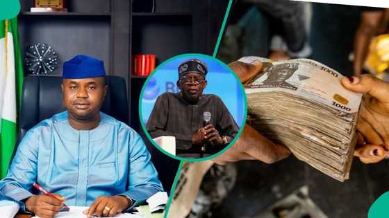 FIRS boss explains why Tinubu will keep borrowing despite higher revenue, more tax payment