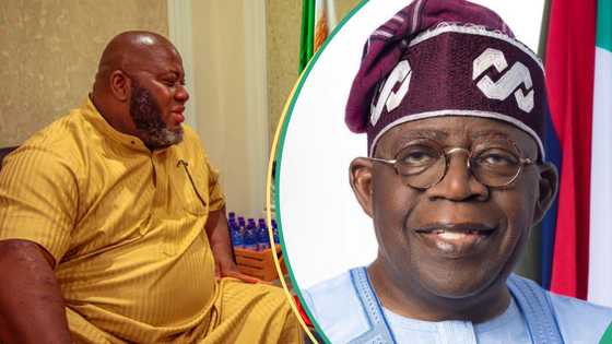 Former militant leader replies Asari Dokubo over attack on 'Tinubu’s 2027 re-election bid'
