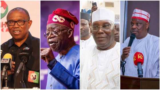 List of geopolitical zones Tinubu, Atiku, Peter Obi may win in 2023 presidential election, Anap Poll predicts