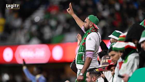AFCON 2025: Algerian Federation files petition as Desert Foxes gear up for clash with Super Eagles