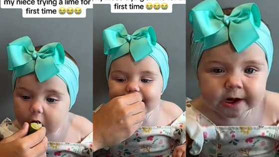 "Laughed a little too hard": Little baby tastes lime for the first time, takes big bite, makes funny face changes