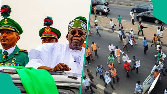 Abin da ya sa malaman jami’a 600 a Arewa suke goyon bayan tazarcen Tinubu