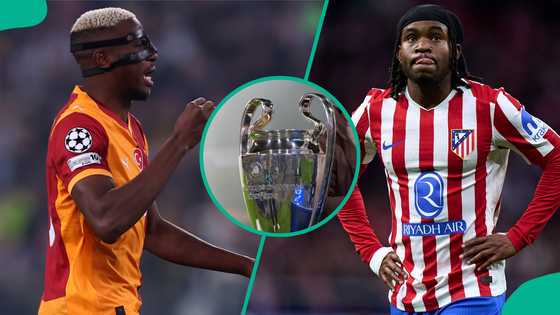 Victor Osimhen and Ademola Lookman’s Champions League Round of 16 opponents confirmed