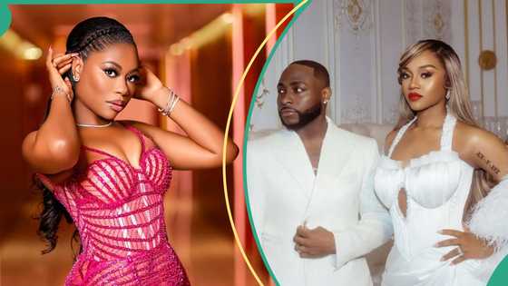 Sophia Momodu shares a hot take on regular social media posting days after Davido’s Chioma’s return