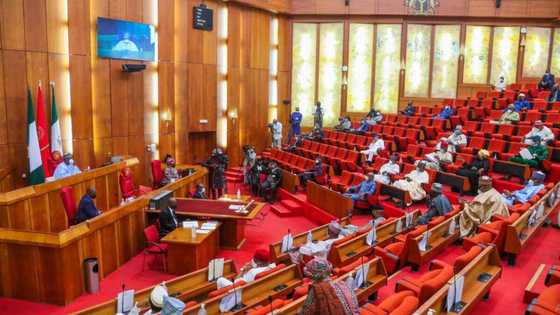 Insecurity: Senate warns of looming war in Nigeria