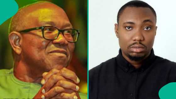 Director of Obidient movement mobilisation resigns, gives reason and mentions Peter Obi