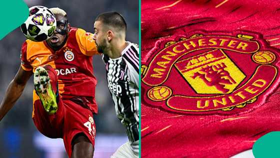 Manchester United criticised for turning down chance to sign Victor Osimhen
