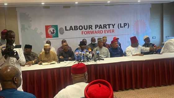 2023 elections: Appeal Court reinstates Labour Party's guber candidate in Southeast