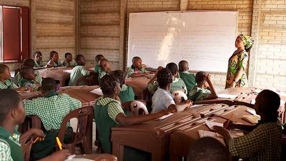 Restructuring Nigeria’s overbloated academic curricular by Moshood Olajide (opinion)
