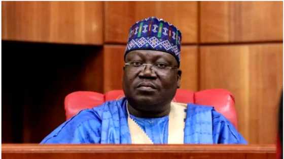 2023: Kamata Ya Yi PDP Ta Nemi Gafara Daga Ƴan Najeriya, Ba Kuri'unsu Ba, Lawan
