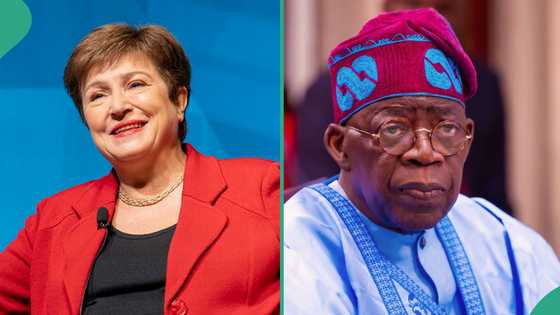 After successfully repaying loan, IMF removes Nigeria from top 10 countries with highest debt