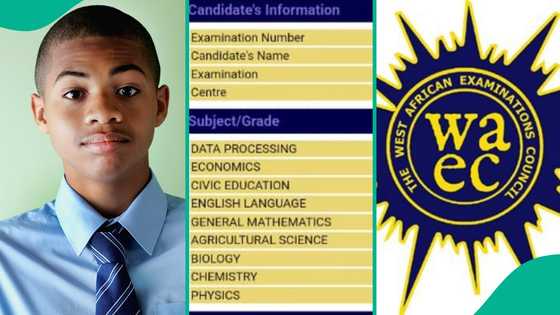WAEC 2024: Nigerian boy clears his result with 4 A1s, 2 Bs, gets distinction in Marketing, Government