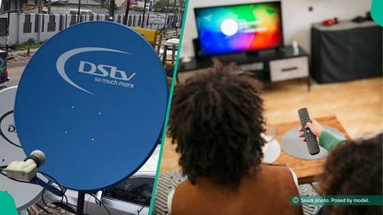 DStv announces free premium channels for all subscribers from today