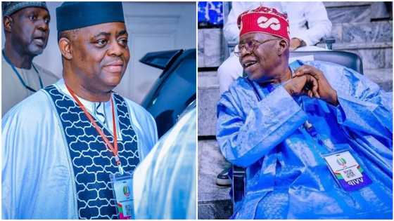 "Tinubu is the reason we celebrate June 12", says Fani-Kayode, reveals why Nigerians must vote for APC candidate