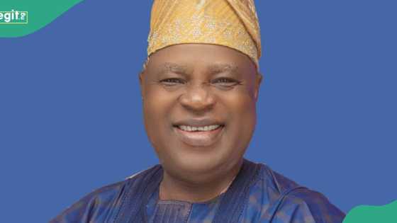 Paul Akintelure: 7 things to know about Ondo APC governorship aspirant, who died before primaries