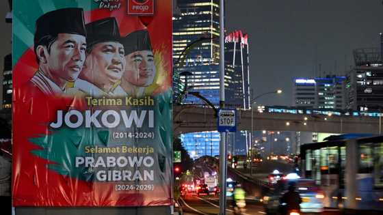 Indonesia's Prabowo targets growth spurt with big projects