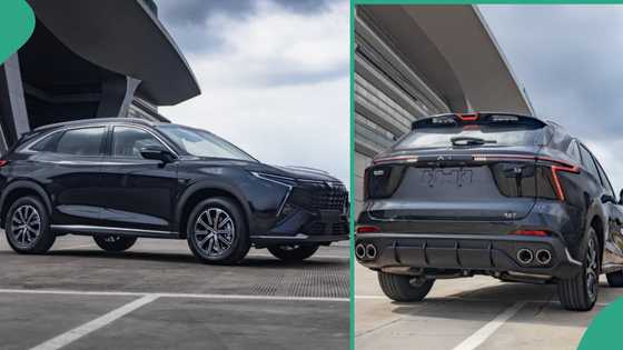 Man admires beautiful SUV car made in Nigeria by Nord, a Lagos-based vehicle manufacturer