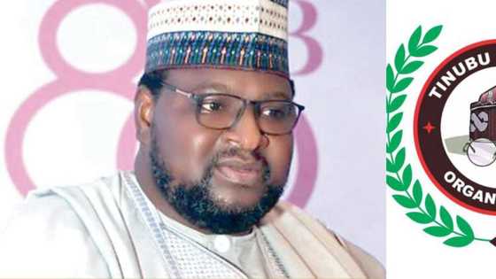 Dalilin da ya sa na fitar da N100m don sayawa Tinubu fom din takara, Attajirin Dan kasuwa