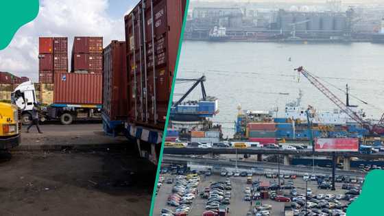 Container scarcity at Nigerian ports threatens country’s $44bn export sector