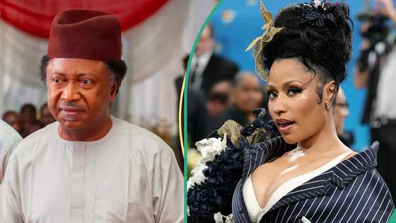 Shehu Sani fires serious warning to pop star Nicki Minaj after UN comments