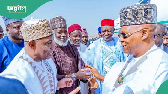 Shettima, Sule Lamido, top political leaders storm Kano for APC chairman’s sons’ wedding, photos trend