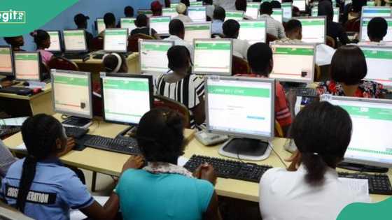JAMB 2025: List of courses to study in Nigerian universities with low UTME scores