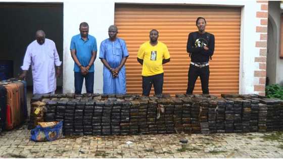 NDLEA makes largest seizure in history, recovers drug worth N193bn in Lagos Warehouse