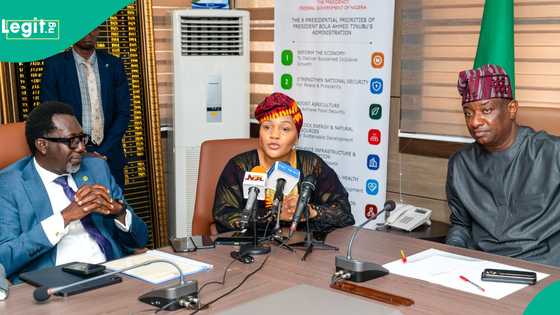 NAICOM issues new insurance licences to Sanlam Allianz, General Insurance in major industry shakeup