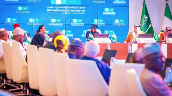 Ka Canza Hali: Tsohon Shugaba a APC Ya Fadi Kuskuren Tinubu Daga Shiga Aso Rock