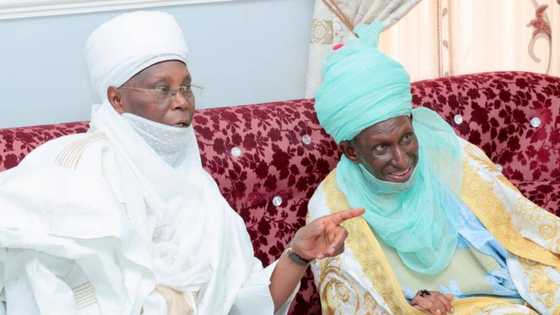 Jigon APC ya Jero Abubuwan da za su Hana Atiku Abubakar Samun Nasara a 2023