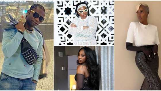 "When I dey drop music dem no get Instagram": Speed Darlington clamps down on Tiwa Savage, Tems and Teni