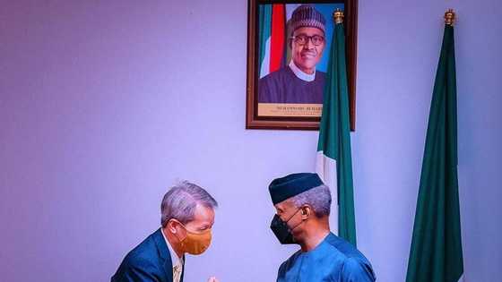 Agriculture, technology: Osinbajo seeks improved collaborations with Vietnam