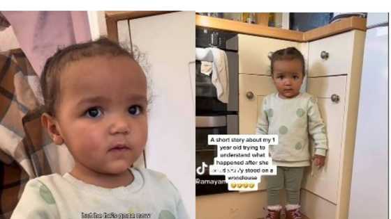 Little girl tramples woodhouse, hopes father can bring it back to life, video goes viral on TikTok