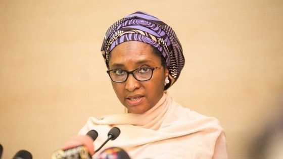 FG Gives Hint on Moves to Gradually Remove Petrol Subsidy, Gives Fresh Date