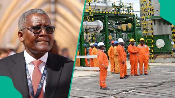 Sources claim Dangote offered to pay sacked workers 5 years' salaries without work