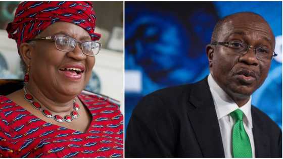 Okonjo-Iweala to meet with CBN governor as WTO members complain of multiple exchange rate