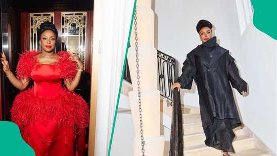 Chimamanda Adichie Calls Out Euracare Hospital Over Late Son: "They Robbed Me of Peace to Mourn"
