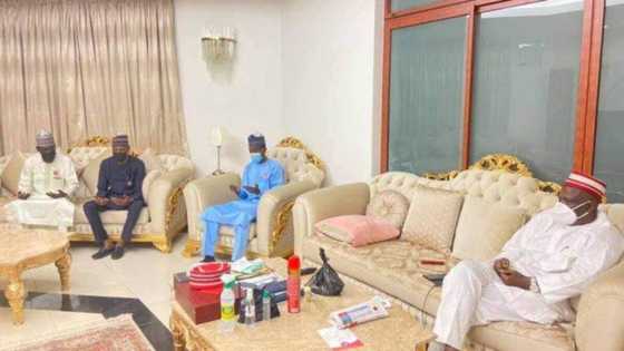 2023: Osinbajo’s camp reportedly reaches out to Kwankwaso