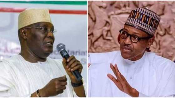 Visa ban: Presidency corrects Atiku over misinformation