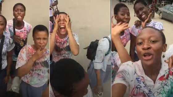 "Una never even start university": Secondary school girls cause commotion on the road after writing last exams