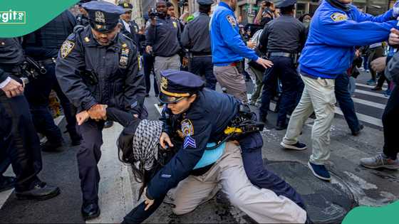 Nigerian who resisted deportation from US beaten, forced on plane, dumped in Togo