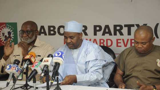 Labour Party sacks National Publicity Secretary, dissolves Ogun excos ahead of 2023 elections