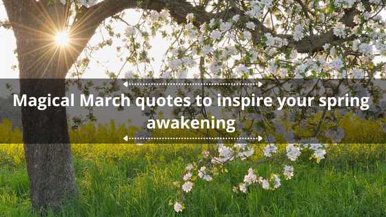 40 magical March quotes to inspire your spring awakening