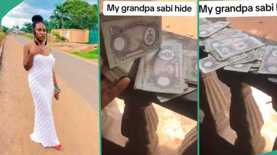 "You people are now rich": Nigerian lady displays stash of Biafran pounds hidden by her late grandpa