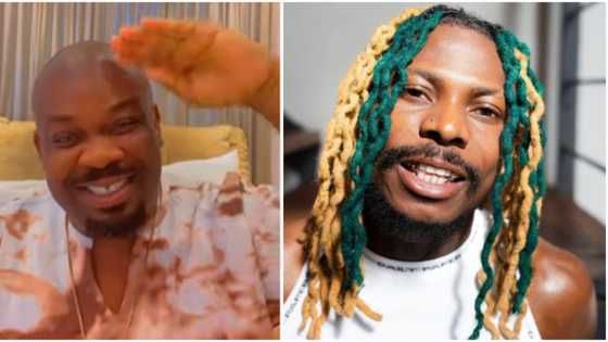 “Make them just give Asake artist of the year”: Don Jazzy hails singer after dropping new album
