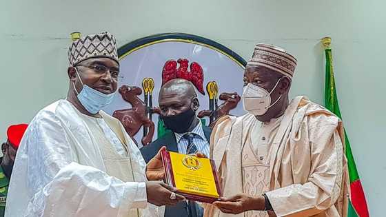 Musulunci Ya Haramta: Ban Goyon Bayan Halasta Amfani Da Wiwi, Ƴan Majalisar Kano Ma Basu Goyon Baya, Ganduje