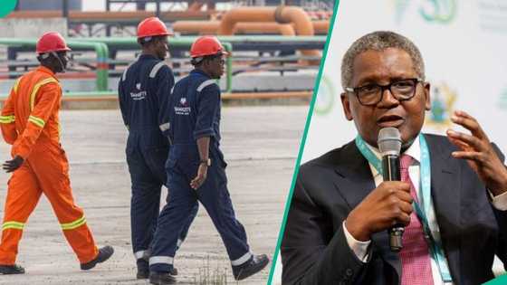 Dangote Group opens fresh job vacancies in cement, foods, and corporate units