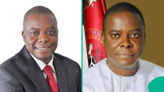 Okey Ezea: Key facts about Nigerian senator who died in Lagos